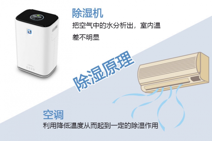 使用除濕機對于哮喘有什么幫助？