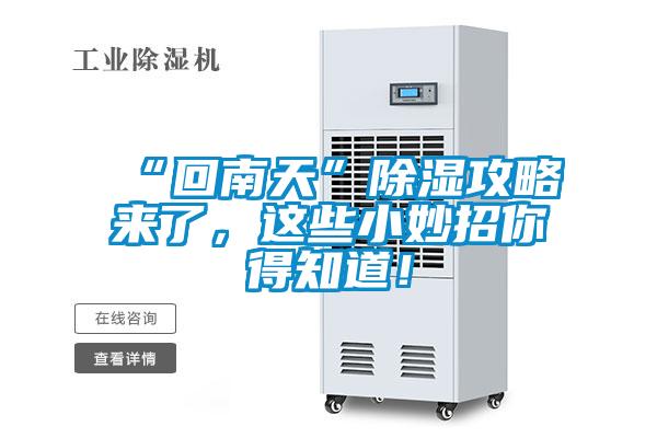 “回南天”除濕攻略來(lái)了，這些小妙招你得知道！