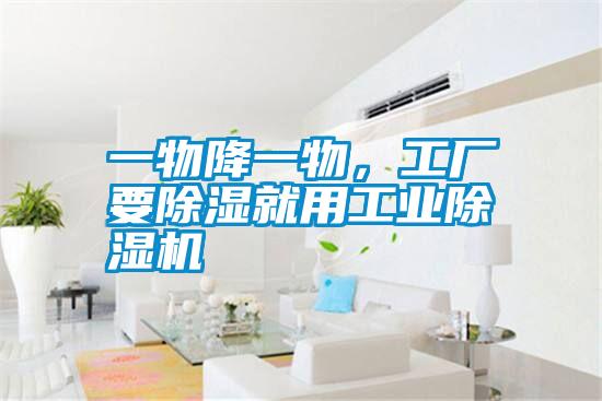 一物降一物，工廠要除濕就用工業(yè)除濕機