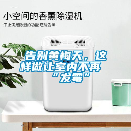 告別黃梅天，這樣做讓室內(nèi)不再“發(fā)霉”