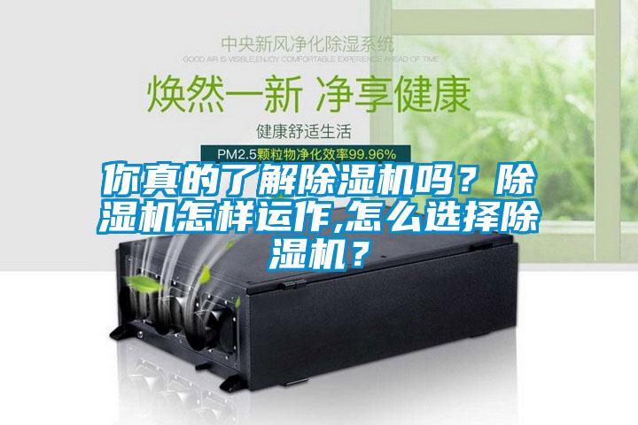 你真的了解除濕機(jī)嗎？除濕機(jī)怎樣運(yùn)作,怎么選擇除濕機(jī)？