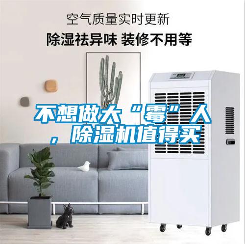不想做大“霉”人，除濕機值得買