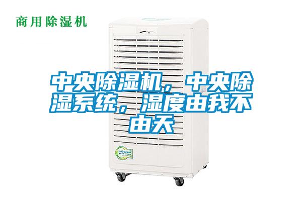 中央除濕機，中央除濕系統(tǒng)，濕度由我不由天