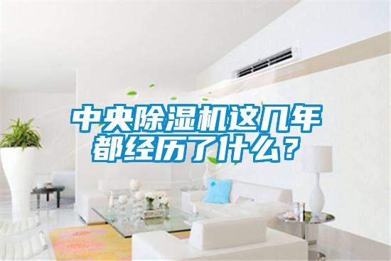 中央除濕機(jī)這幾年都經(jīng)歷了什么？