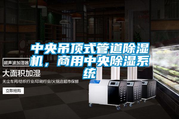 中央吊頂式管道除濕機(jī)，商用中央除濕系統(tǒng)
