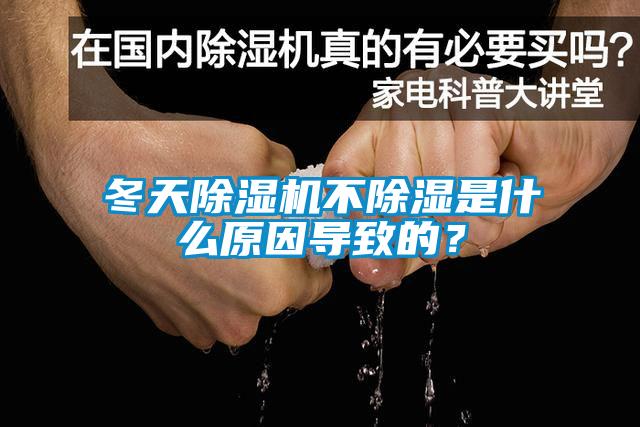 冬天除濕機不除濕是什么原因?qū)е碌模?></div>
								<div   id=