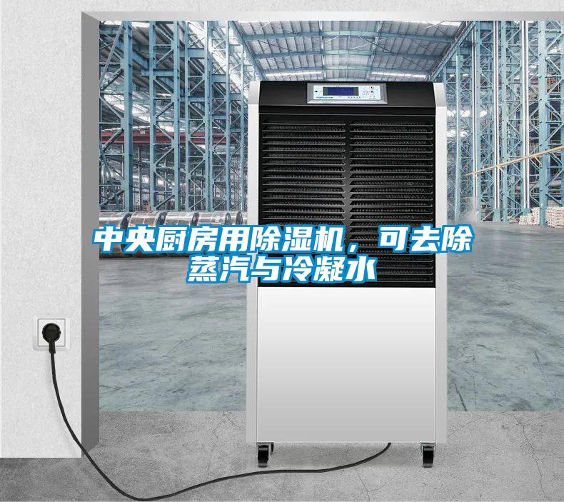 中央廚房用除濕機(jī)，可去除蒸汽與冷凝水