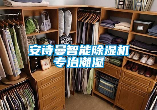 安詩(shī)曼智能除濕機(jī)專(zhuān)治潮濕