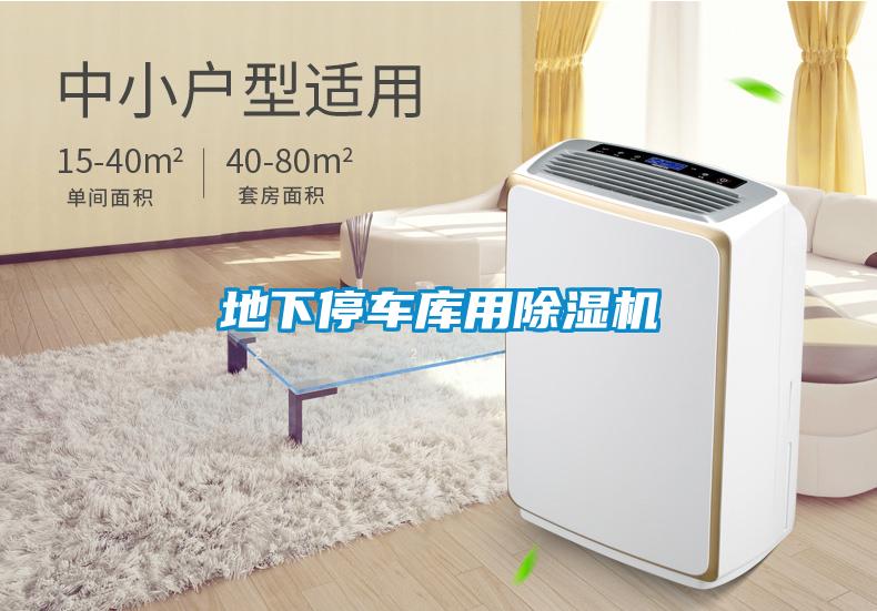 地下停車(chē)庫(kù)用除濕機(jī)