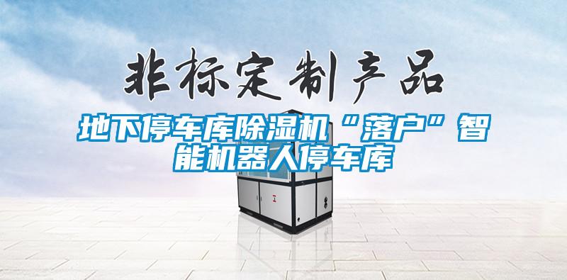 地下停車(chē)庫(kù)除濕機(jī)“落戶(hù)”智能機(jī)器人停車(chē)庫(kù)