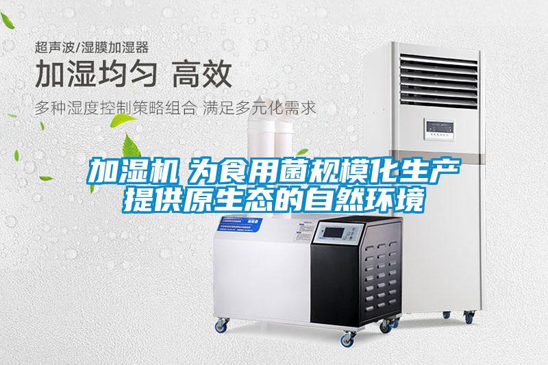 加濕機(jī) 為食用菌規(guī)模化生產(chǎn)提供原生態(tài)的自然環(huán)境