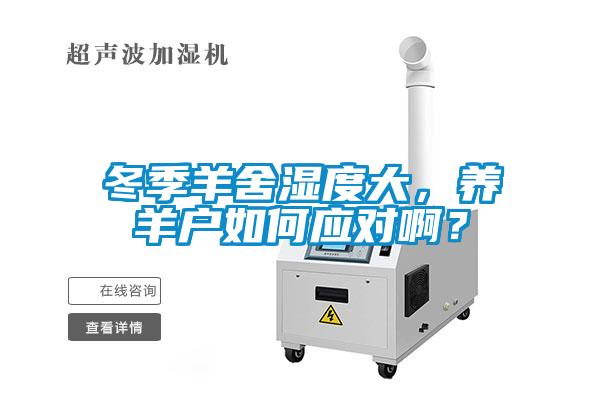 冬季羊舍濕度大，養(yǎng)羊戶如何應對啊？