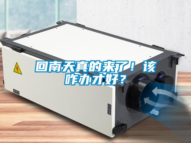 回南天真的來(lái)了！該咋辦才好？