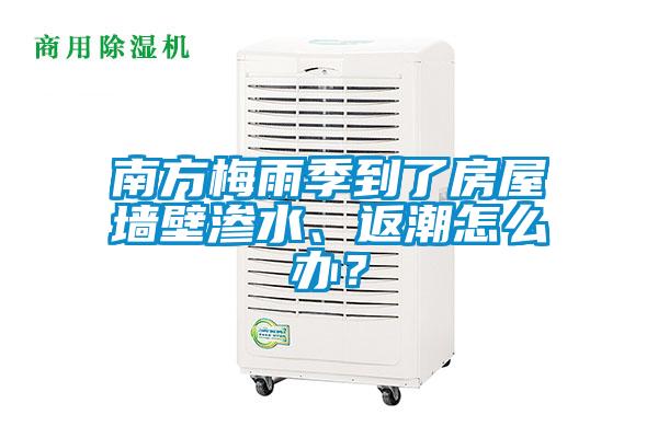 南方梅雨季到了房屋墻壁滲水、返潮怎么辦？