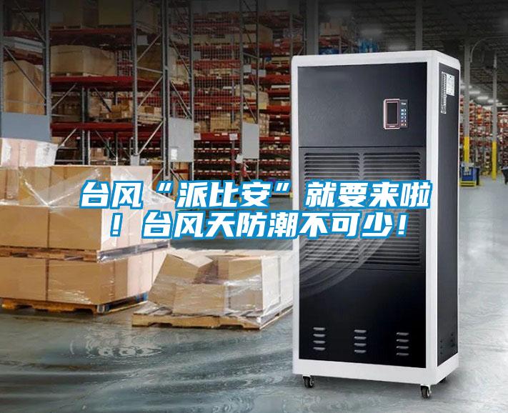 臺風“派比安”就要來啦！臺風天防潮不可少！