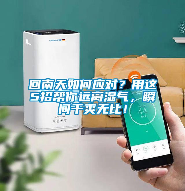 回南天如何應(yīng)對？用這5招幫你遠(yuǎn)離濕氣，瞬間干爽無比！
