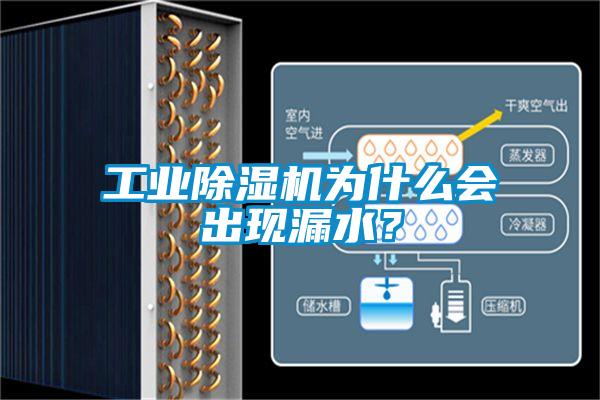 工業(yè)除濕機為什么會出現(xiàn)漏水？