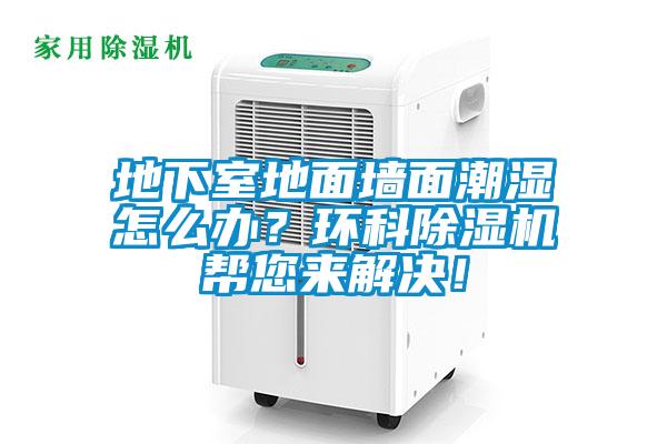 地下室地面墻面潮濕怎么辦？環科除濕機幫您來解決！