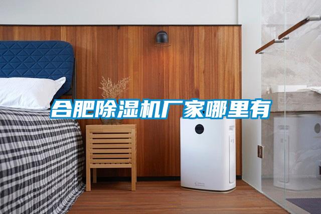 合肥除濕機(jī)廠(chǎng)家哪里有