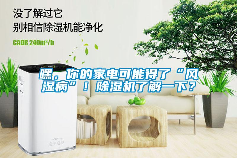 嘿，你的家電可能得了“風(fēng)濕病”！除濕機了解一下？