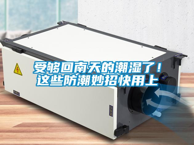 受夠回南天的潮濕了！這些防潮妙招快用上