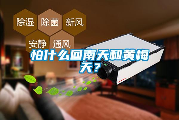 怕什么回南天和黃梅天？