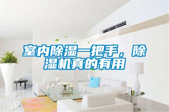 室內除濕一把手，除濕機真的有用