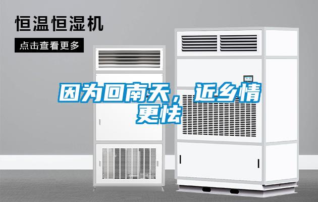 因為回南天，近鄉(xiāng)情更怯