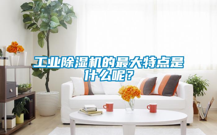 工業除濕機的最大特點是什么呢？