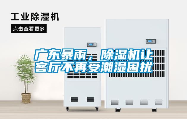 廣東暴雨，除濕機讓客廳不再受潮濕困擾