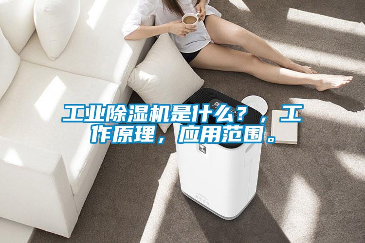 工業除濕機是什么？，工作原理，應用范圍。