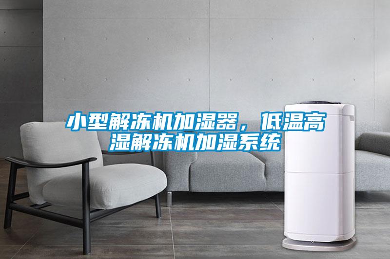 小型解凍機加濕器，低溫高濕解凍機加濕系統