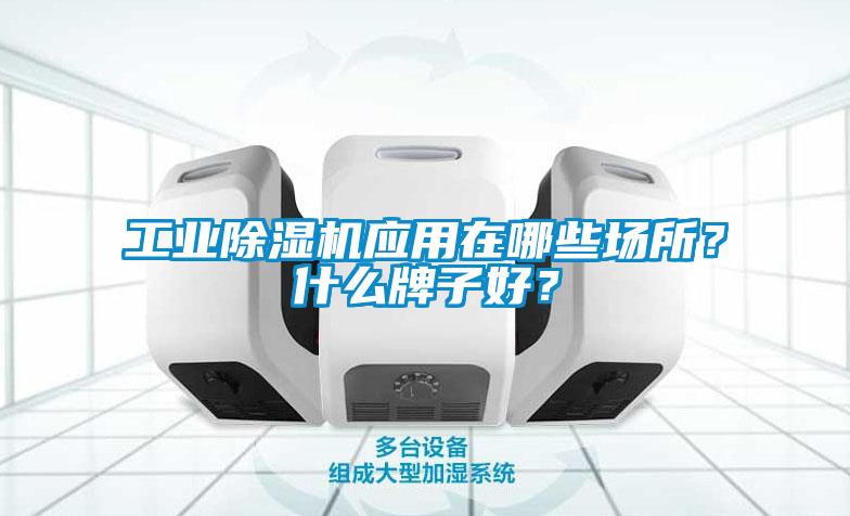 工業(yè)除濕機(jī)應(yīng)用在哪些場所？什么牌子好？