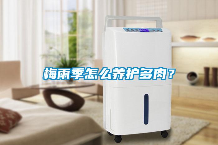 梅雨季怎么養(yǎng)護多肉？
