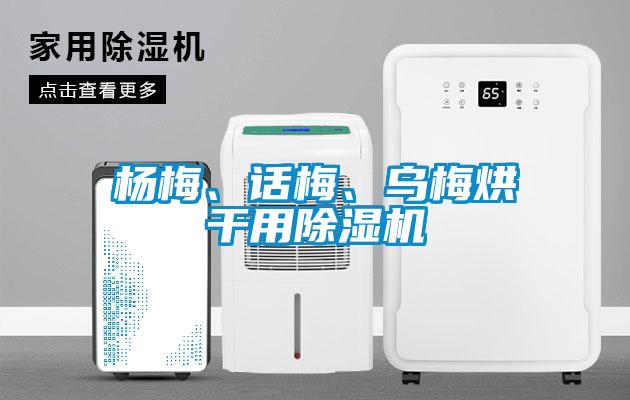 楊梅、話梅、烏梅烘干用除濕機