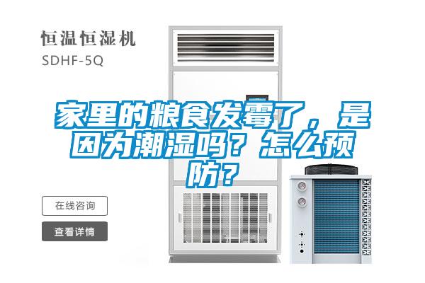 家里的糧食發霉了，是因為潮濕嗎？怎么預防？