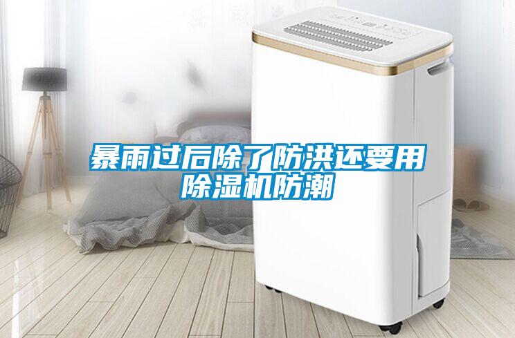 暴雨過后除了防洪還要用除濕機(jī)防潮