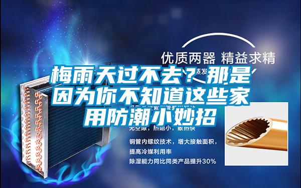 梅雨天過不去？那是因?yàn)槟悴恢肋@些家用防潮小妙招
