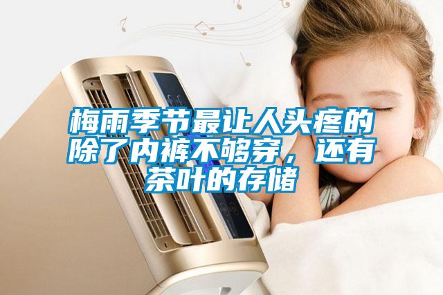 梅雨季節最讓人頭疼的除了內褲不夠穿，還有茶葉的存儲