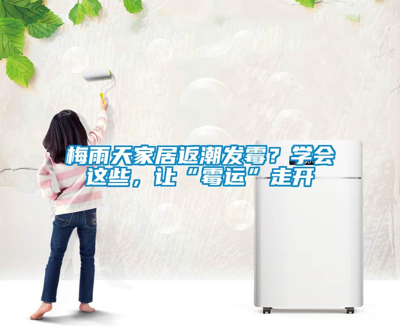 梅雨天家居返潮發霉？學會這些，讓“霉運”走開