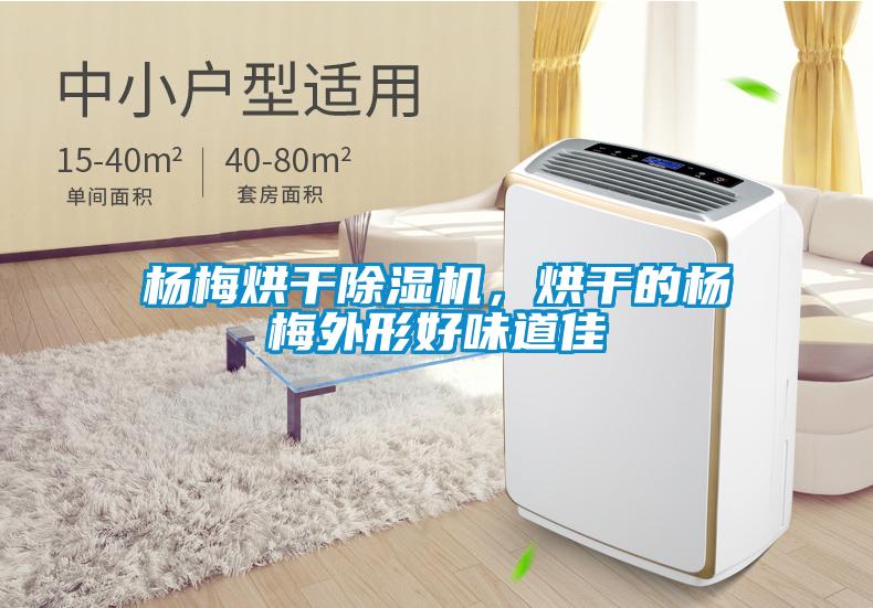 楊梅烘干除濕機，烘干的楊梅外形好味道佳