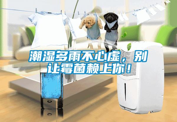 潮濕多雨不心虛，別讓霉菌賴上你！