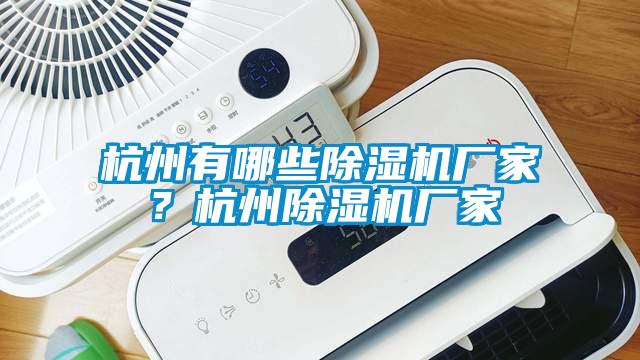 杭州有哪些除濕機廠家？杭州除濕機廠家