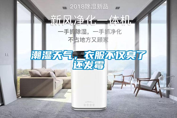 潮濕天氣,衣服不僅臭了還發霉