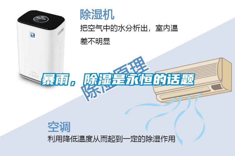 暴雨，除濕是永恒的話題