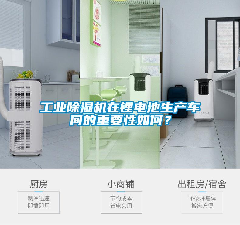工業(yè)除濕機(jī)在鋰電池生產(chǎn)車間的重要性如何？