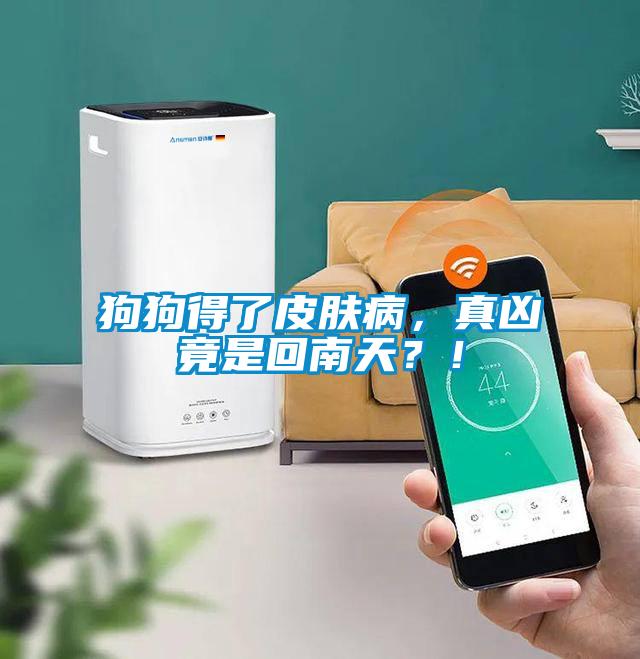 狗狗得了皮膚病，真兇竟是回南天？！