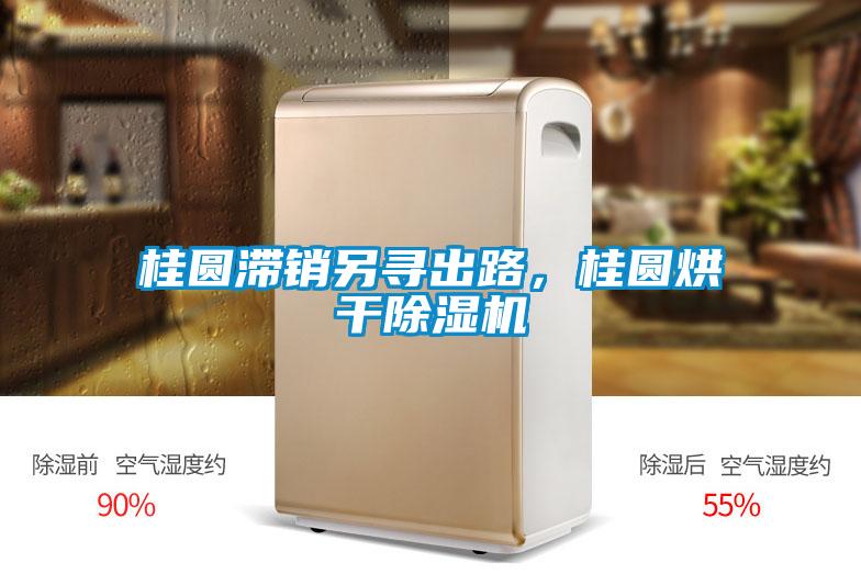 桂圓滯銷另尋出路,桂圓烘干除濕機