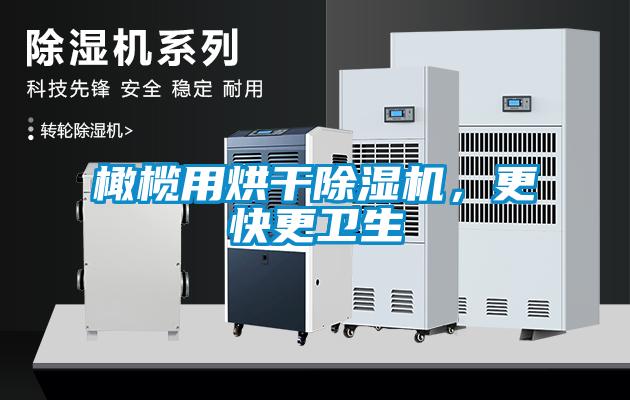 橄欖用烘干除濕機，更快更衛生