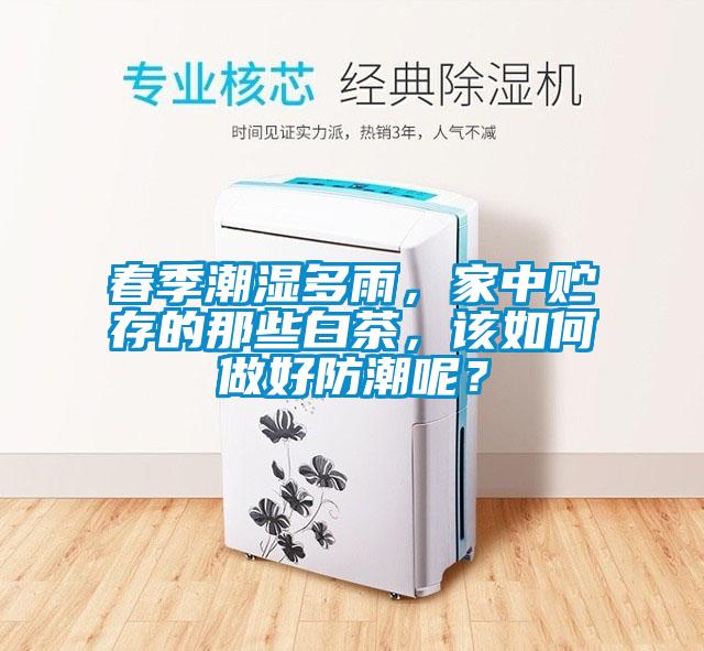 春季潮濕多雨，家中貯存的那些白茶，該如何做好防潮呢？